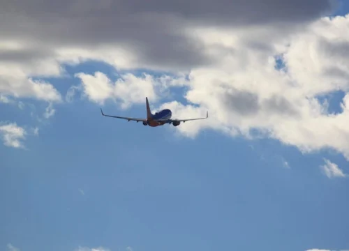 How to Contact Norse Customer Service?