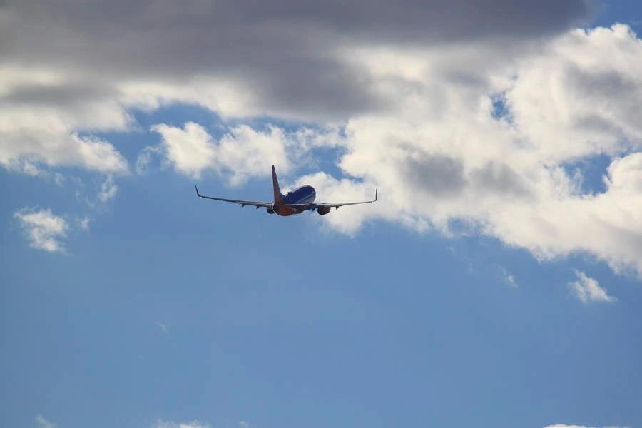 How to Contact Norse Customer Service?